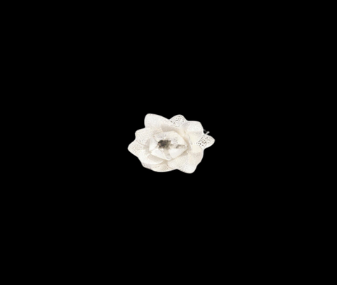 Silver Lotus