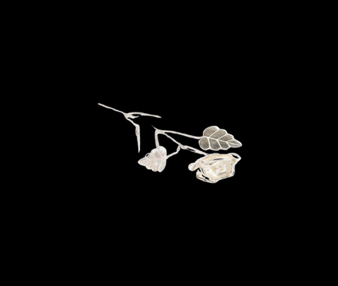 Silver Rose